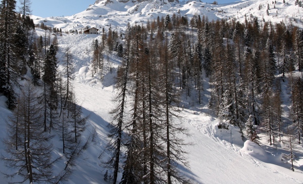 parte centrale