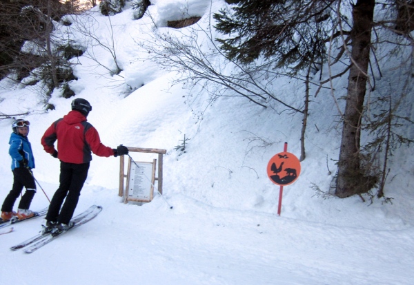cartelli pista bosco