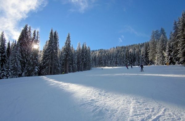boschi alta badia