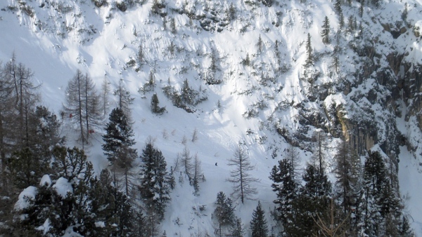 parte alta Vitelli