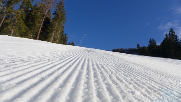 foto delle millerighe in Val di Fassa