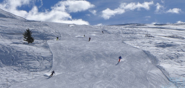 varietà pista nera
