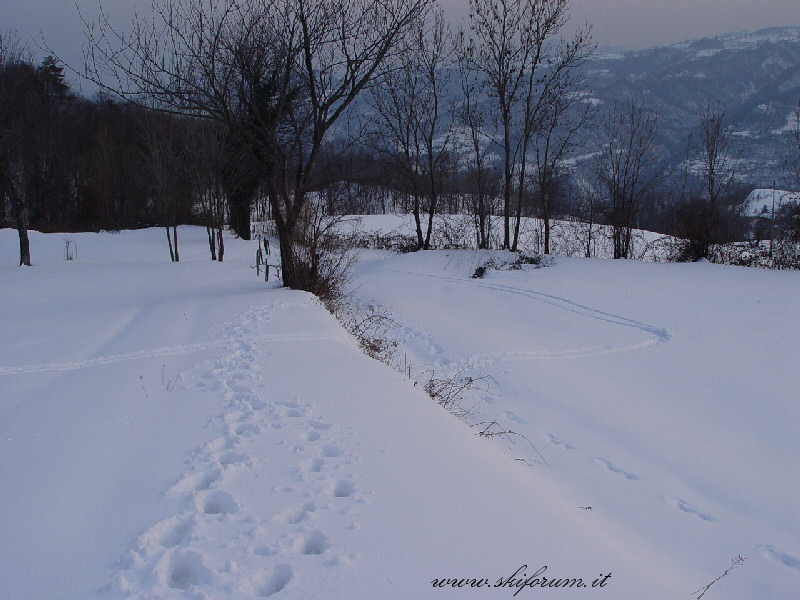 neve_marzo_casa_03.jpg