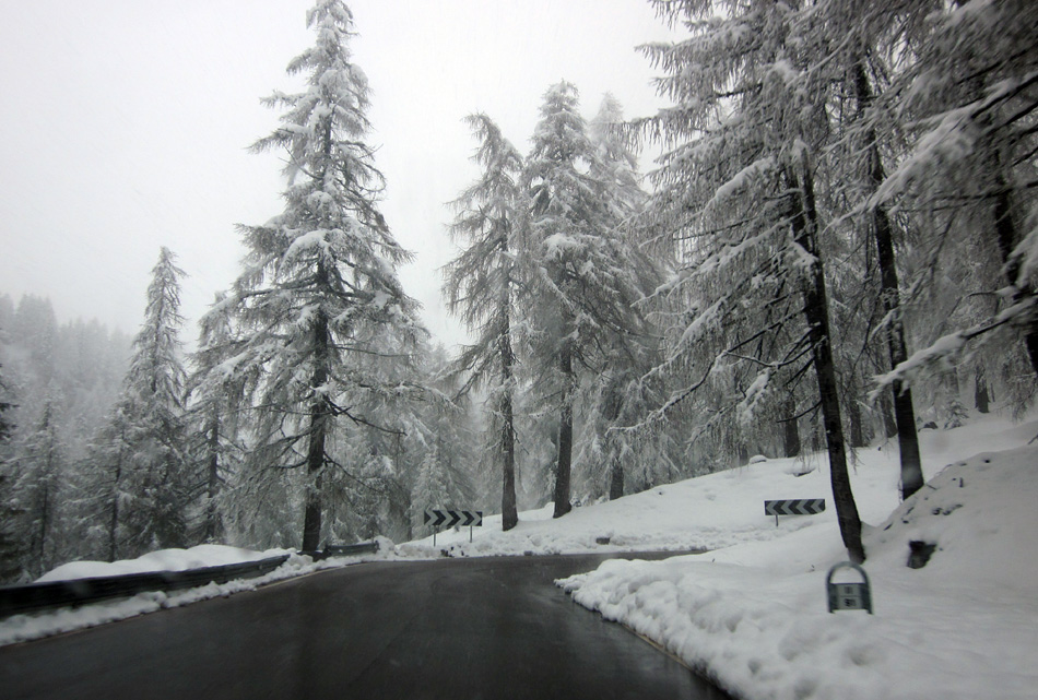 101955-strada-per-passo-rolle.jpg