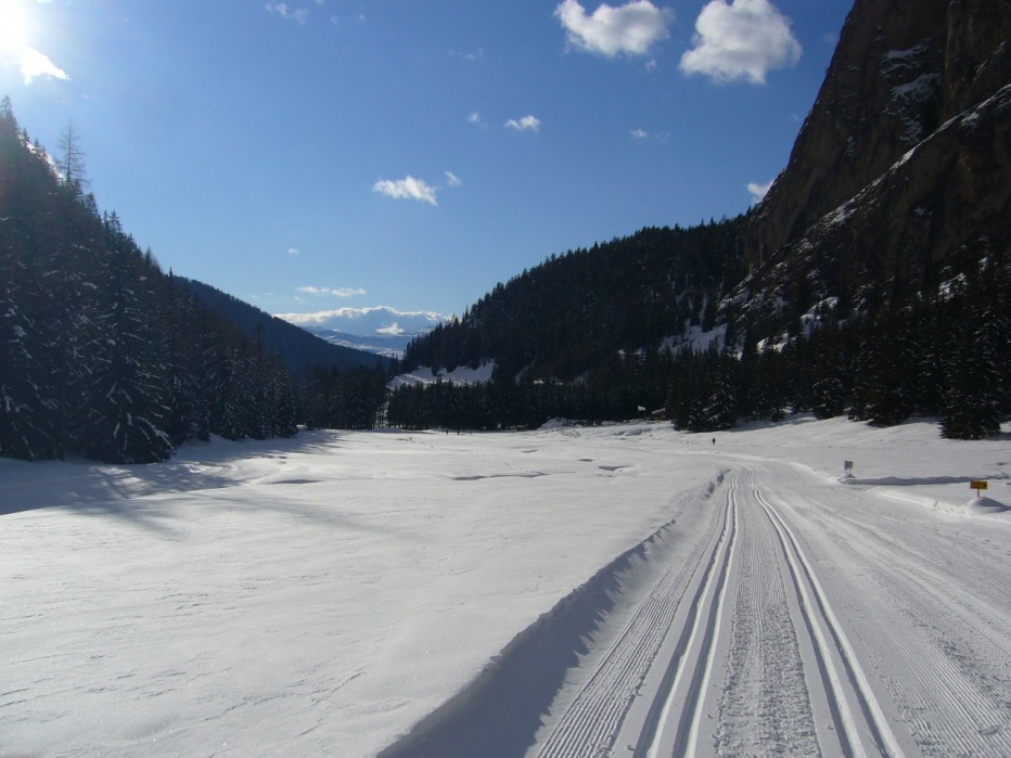 104031-p1060717.jpg