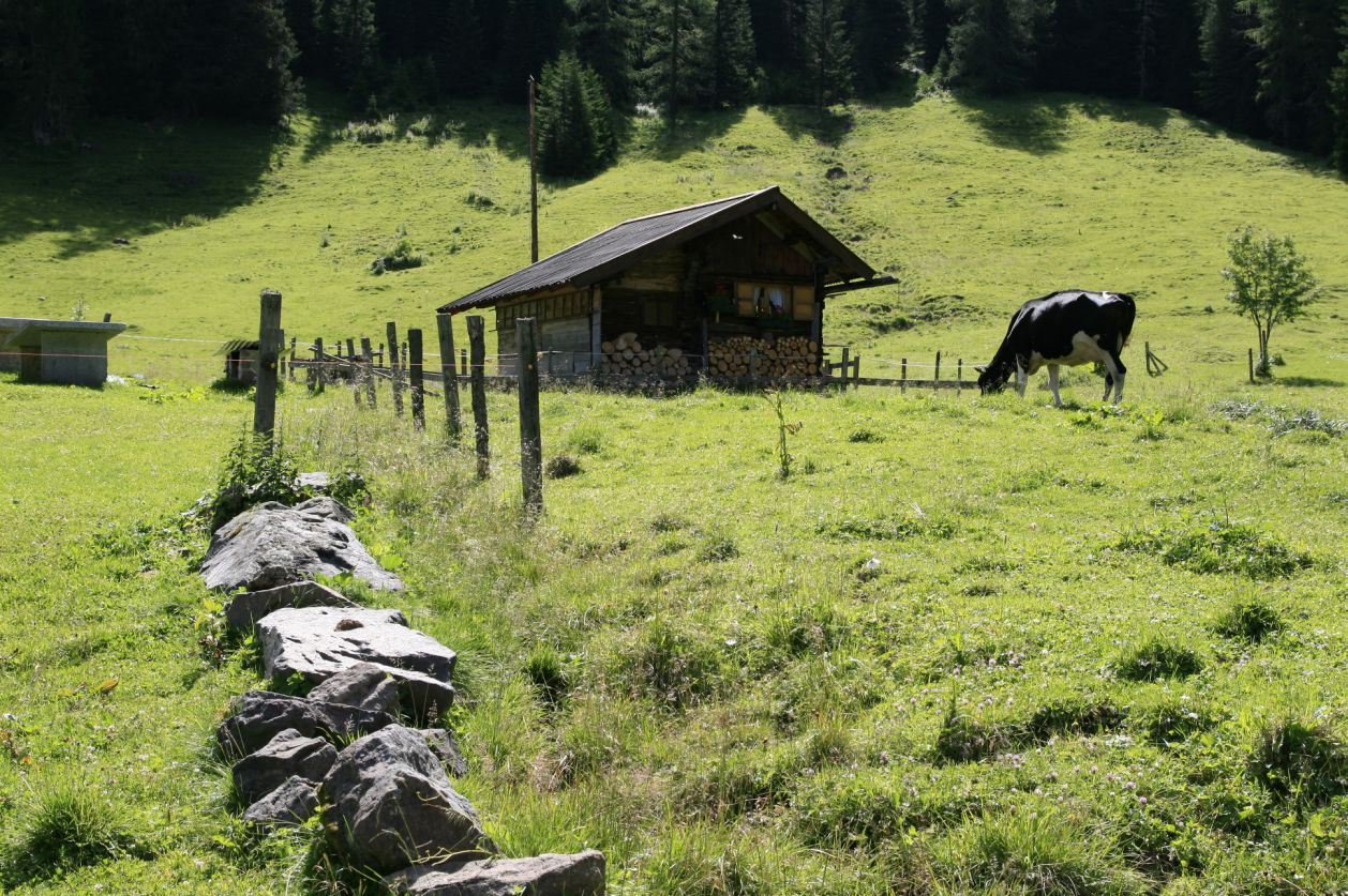 104671-val-san-nicolo-2-4-agosto-2013-58.jpg