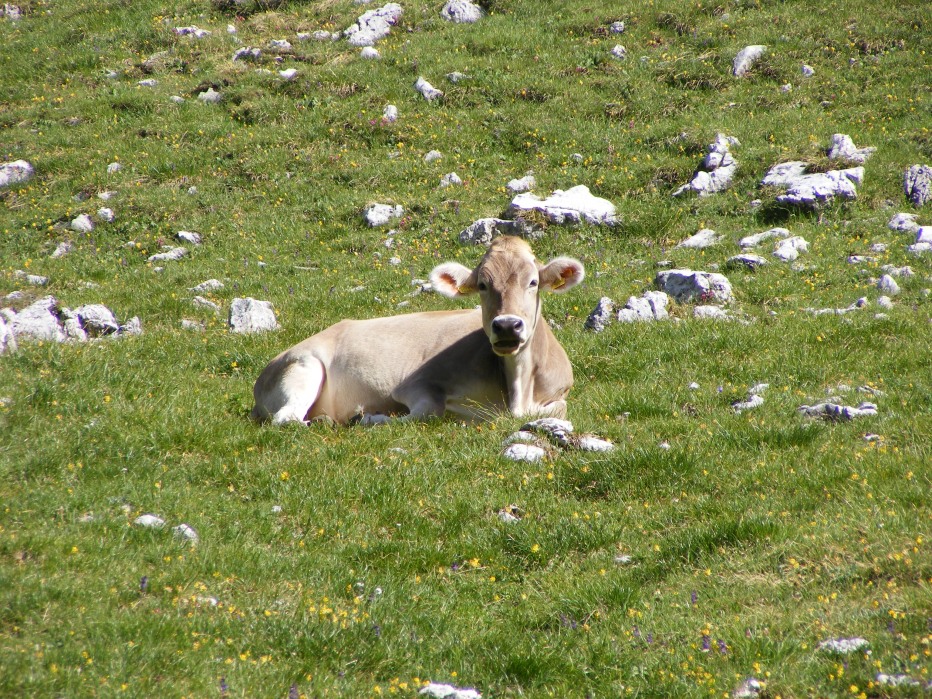 104989-piz-duleda-10-agosto-2013-004.jpg