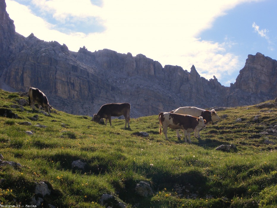104992-piz-duleda-10-agosto-2013-008.jpg