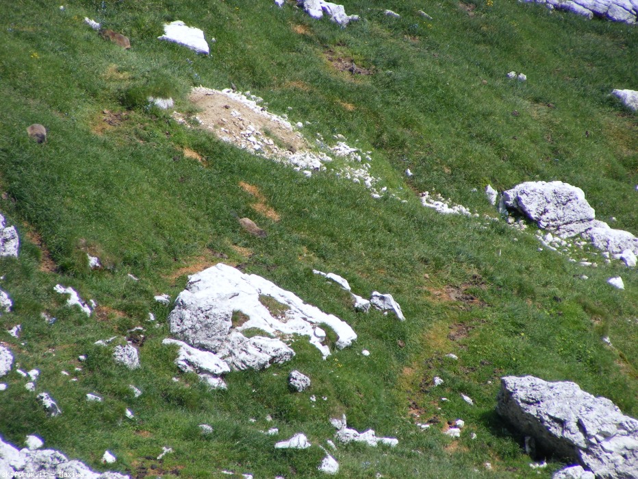 105050-piz-duleda-10-agosto-2013-061.jpg