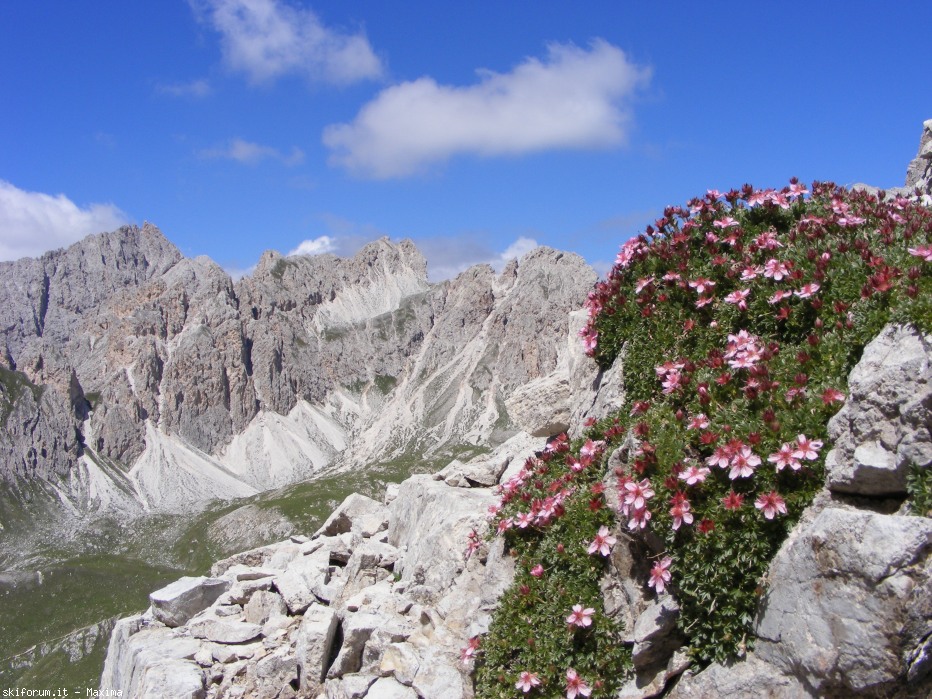 105055-piz-duleda-10-agosto-2013-067.jpg