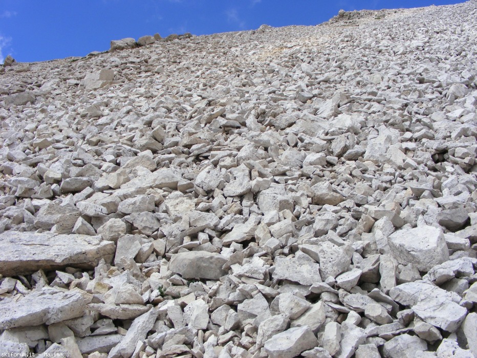 105070-piz-duleda-10-agosto-2013-082.jpg
