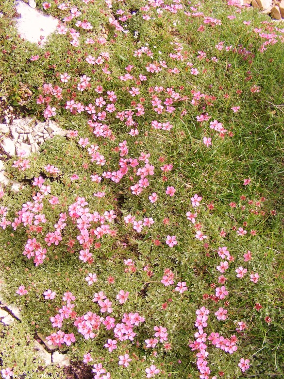 105072-piz-duleda-10-agosto-2013-085.jpg