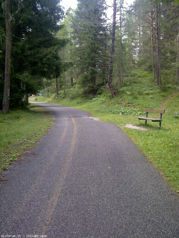 105834-09passeggiatasenzapaloferrovia.jpg
