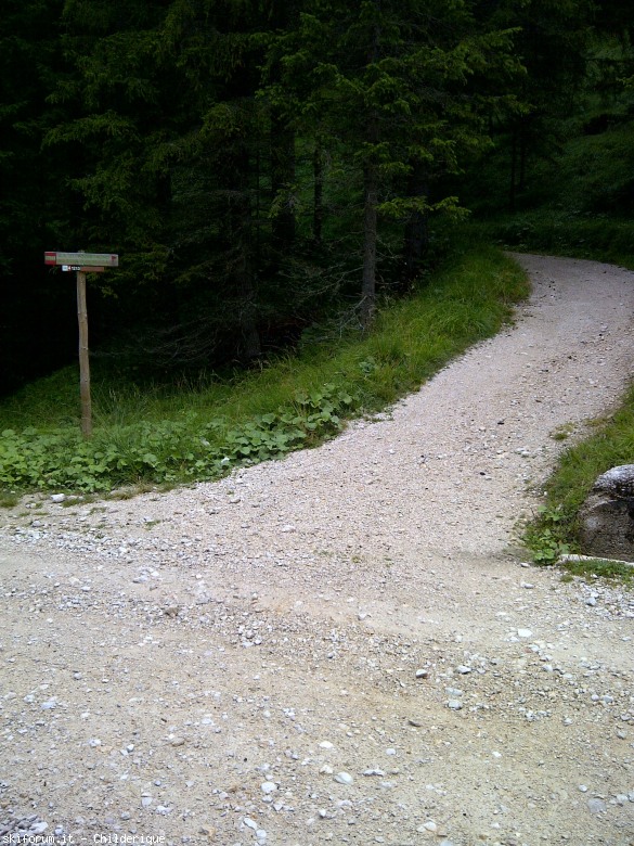 105853-27biviocastellopodestagno.jpg