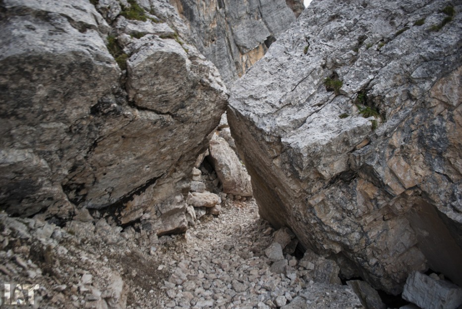 106687-dolomiti-16-08-13-164.jpg