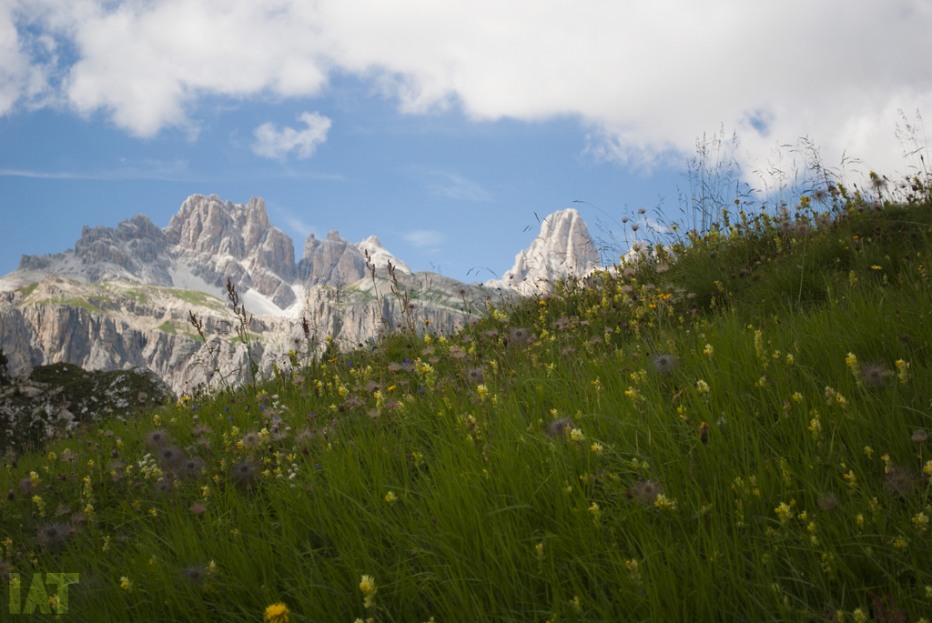 106689-dolomiti-16-08-13-181.jpg