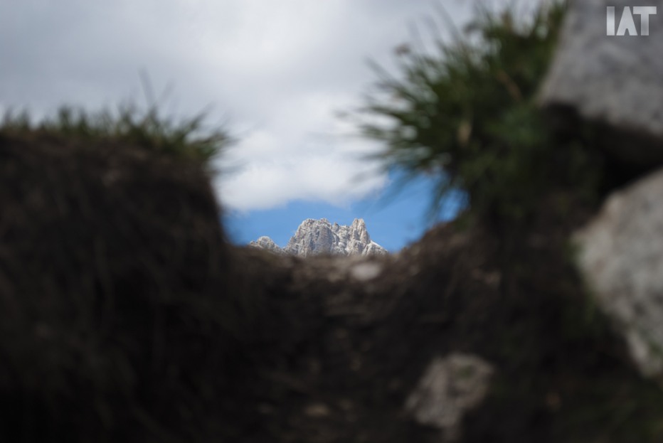106693-dolomiti-16-08-13-084.jpg