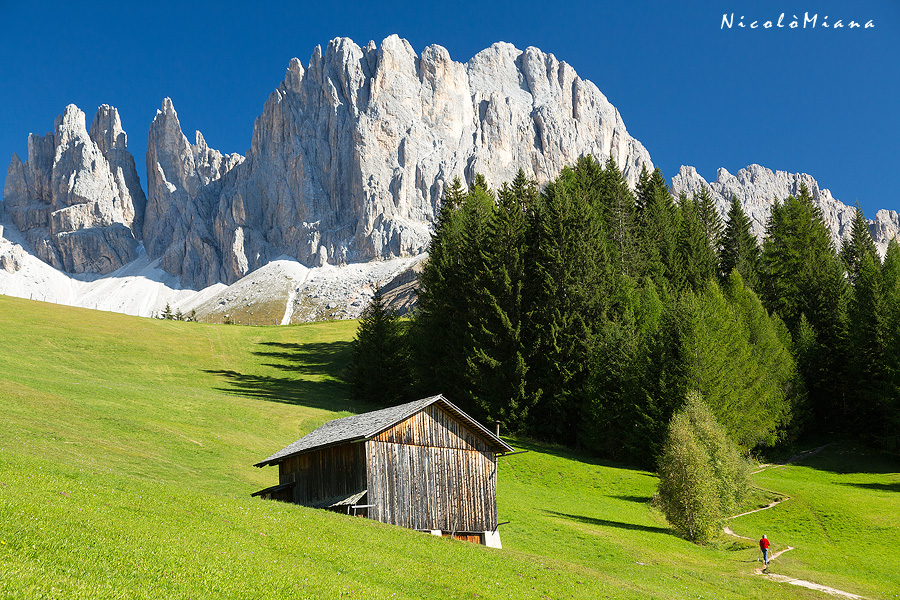 107472-catinaccio.jpg