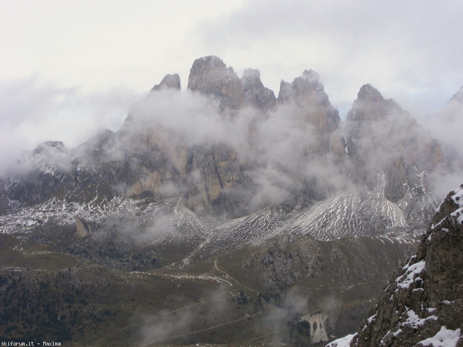 108096-fiori-ottobre-2013-018.jpg