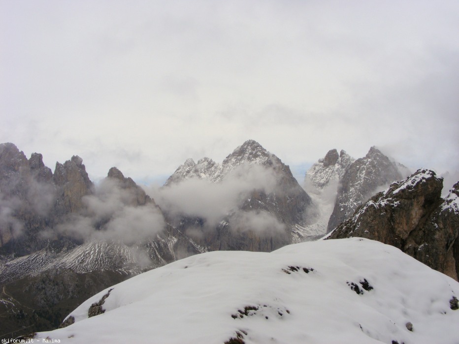 108097-fiori-ottobre-2013-019.jpg