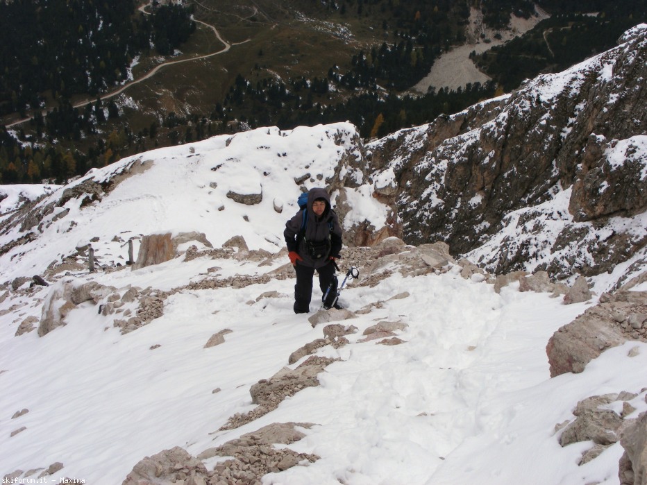 108098-fiori-ottobre-2013-021.jpg