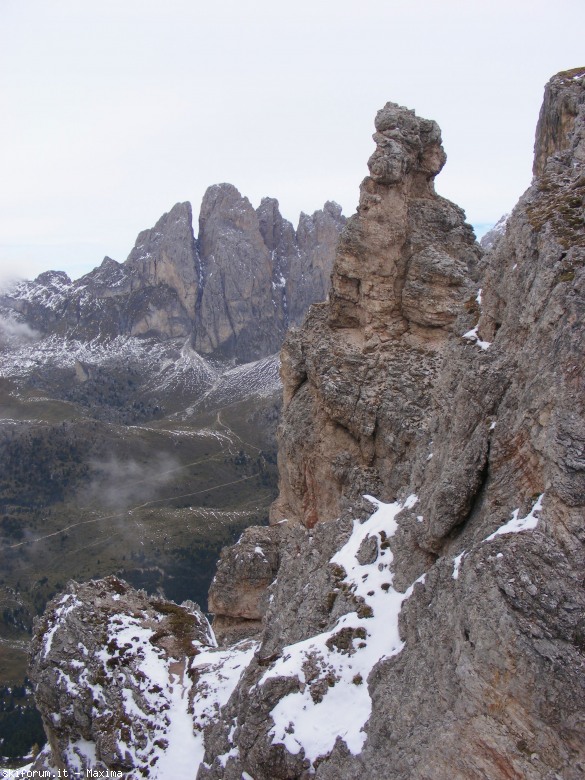 108099-fiori-ottobre-2013-022.jpg