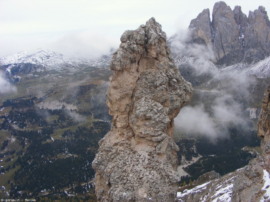 108100-fiori-ottobre-2013-023.jpg