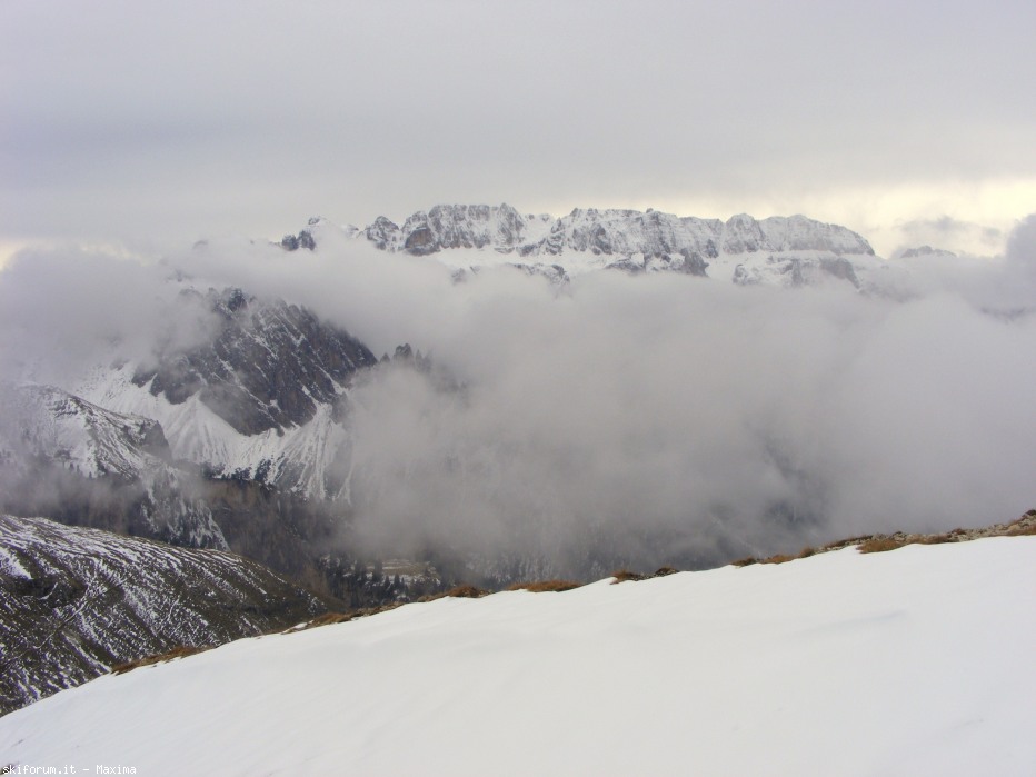 108101-fiori-ottobre-2013-024.jpg