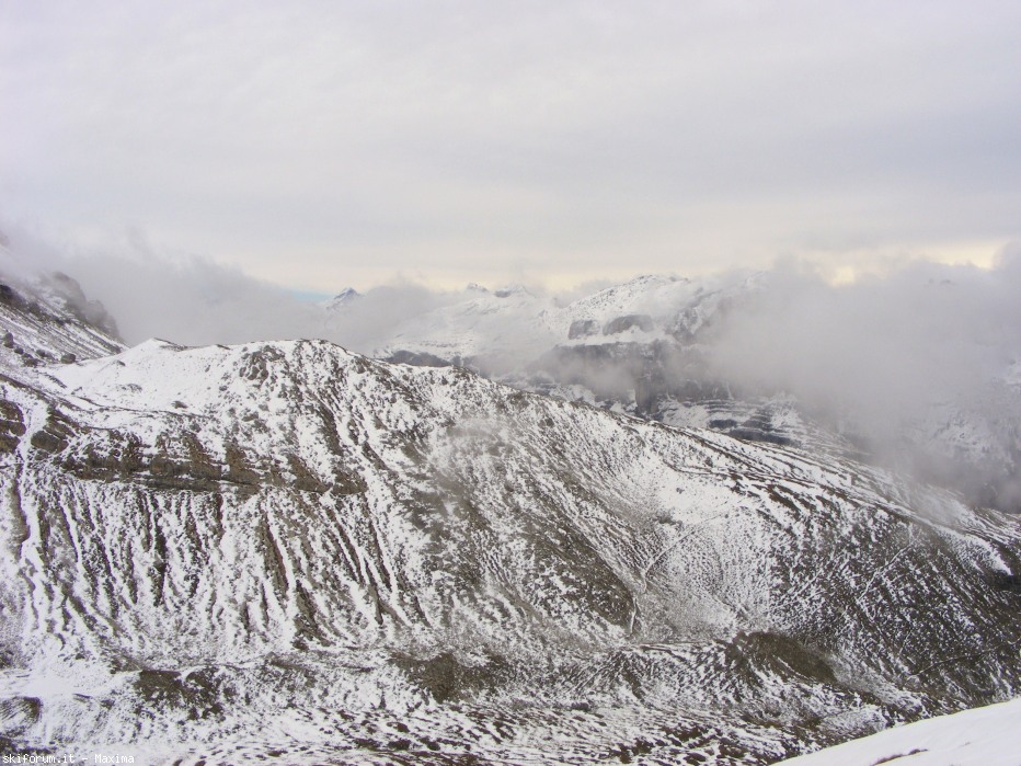 108114-fiori-ottobre-2013-025.jpg