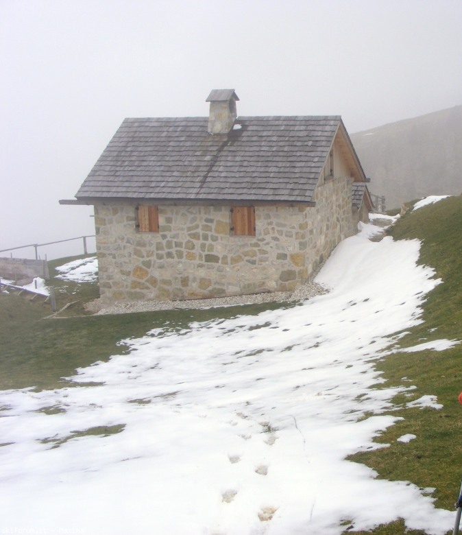 108116-fiori-ottobre-2013-028.jpg
