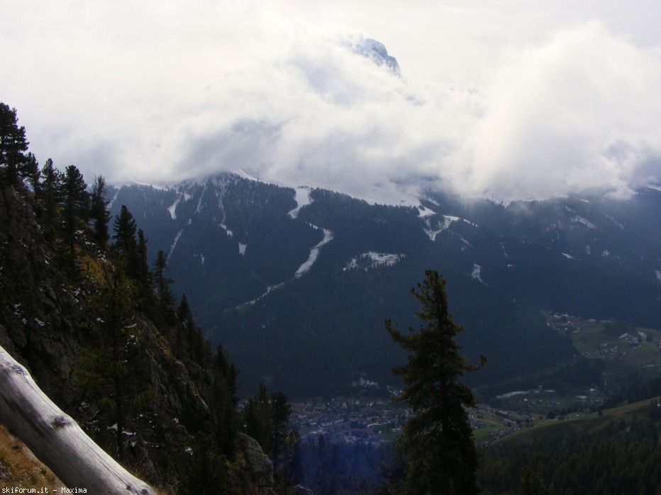 108117-fiori-ottobre-2013-029.jpg