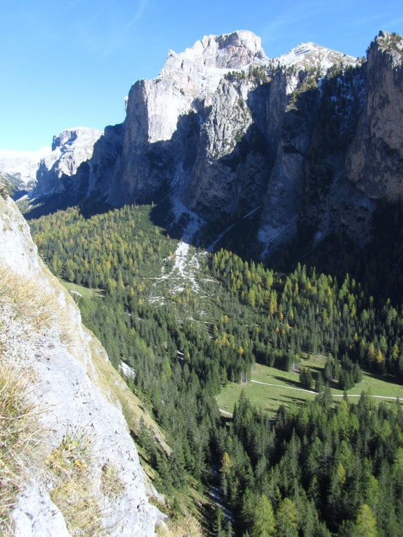 108138-stevia-17.10.13-larici-001.jpg