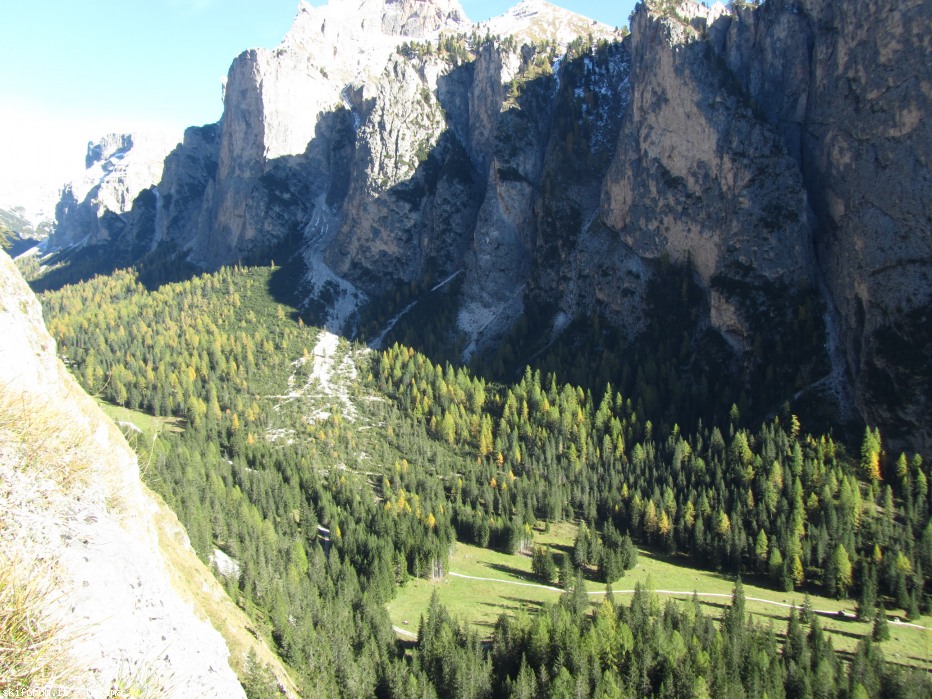108139-stevia-17.10.13-larici-002.jpg