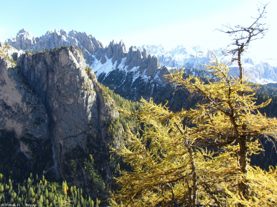108140-stevia-17.10.13-larici-003.jpg
