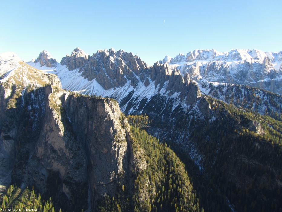 108146-stevia-17.10.13-larici-009.jpg