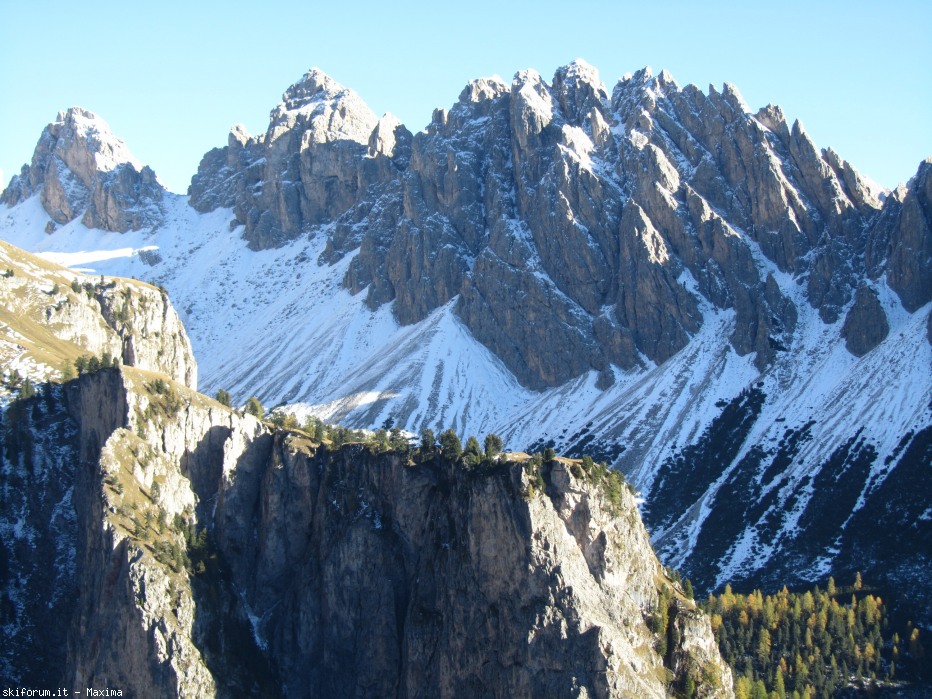108148-stevia-17.10.13-larici-011.jpg