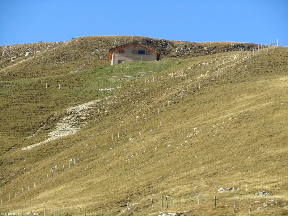 108149-stevia-17.10.13-larici-014.jpg