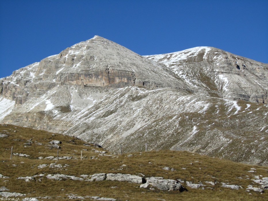 108150-stevia-17.10.13-larici-015.jpg