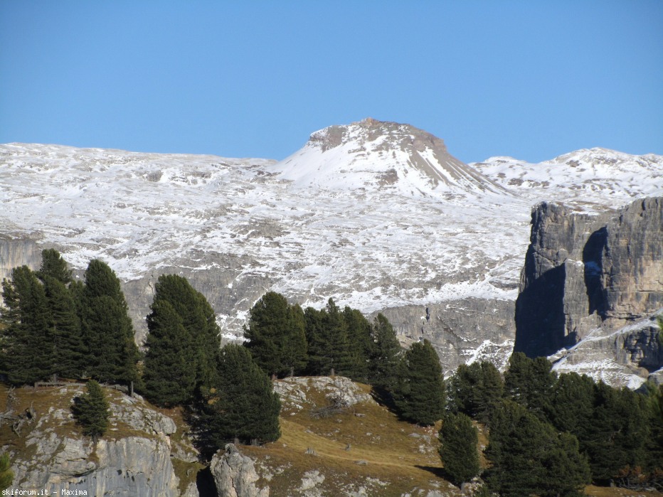 108151-stevia-17.10.13-larici-016.jpg
