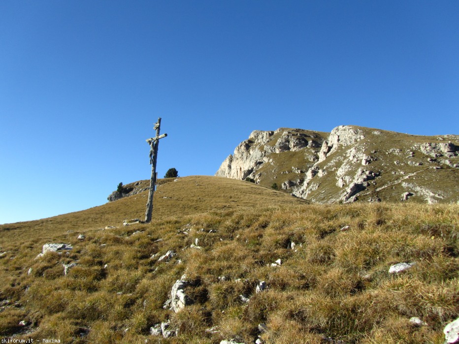 108155-stevia-17.10.13-larici-020.jpg