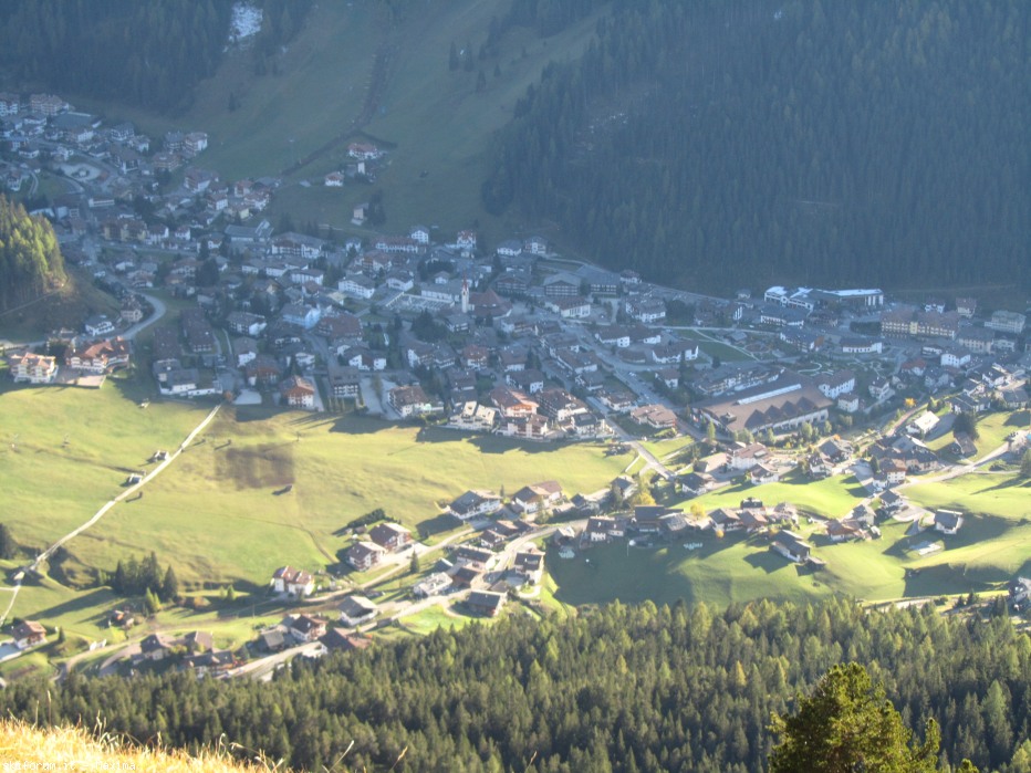 108156-stevia-17.10.13-larici-023.jpg