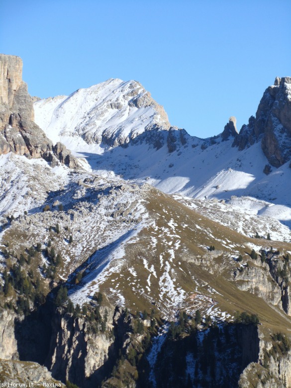 108157-stevia-17.10.13-larici-028.jpg