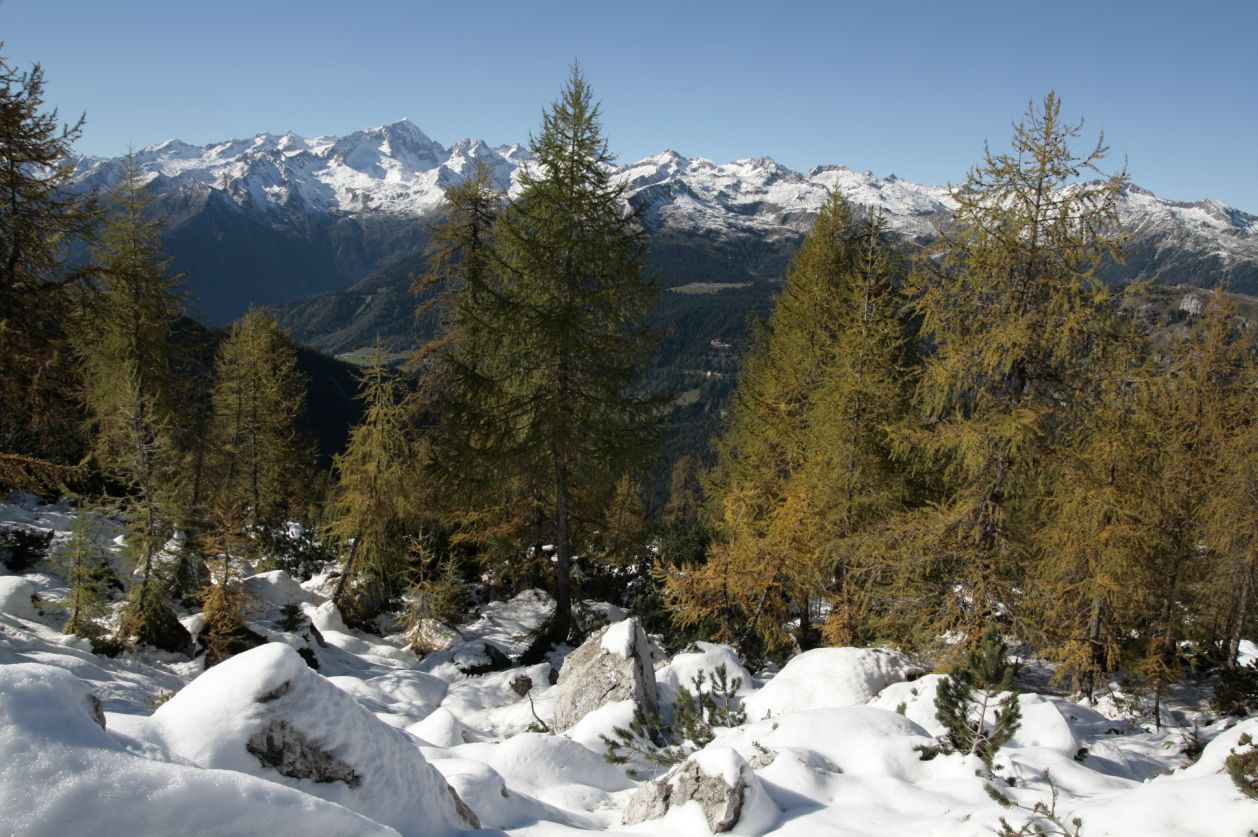 108279-val-brenta-e-vallesinella-17-ott-2013-171.jpg