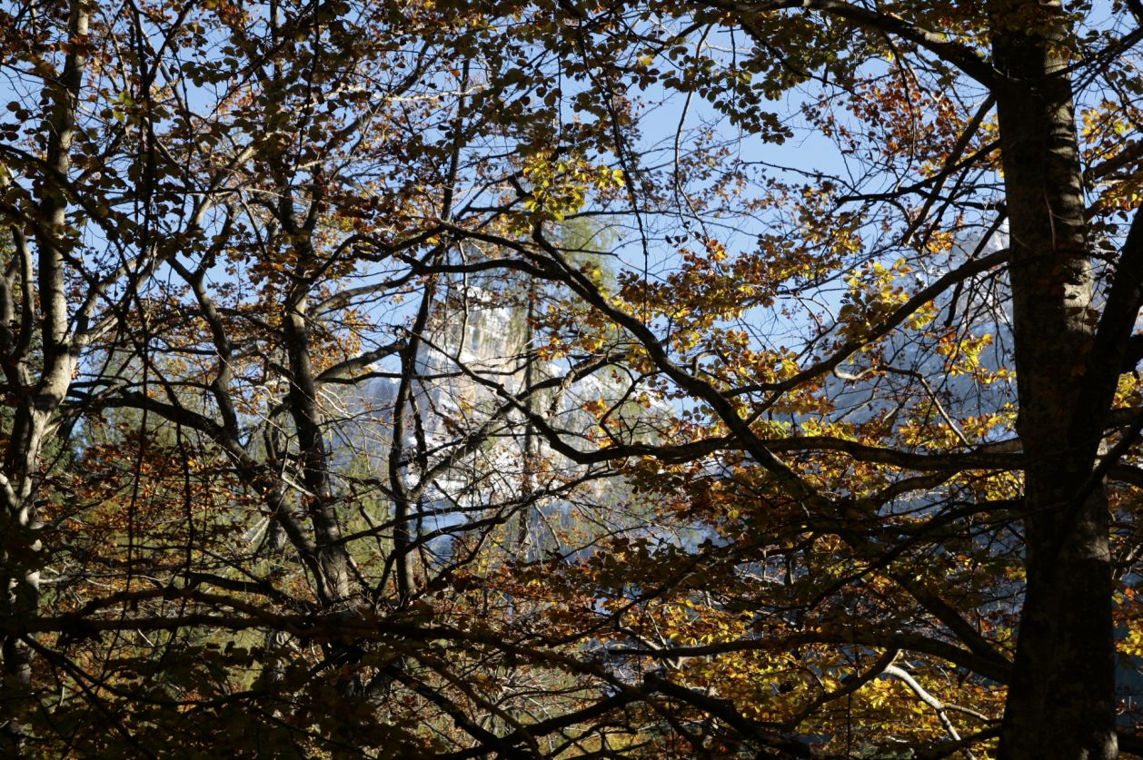 108280-val-brenta-e-vallesinella-17-ott-2013-291.jpg