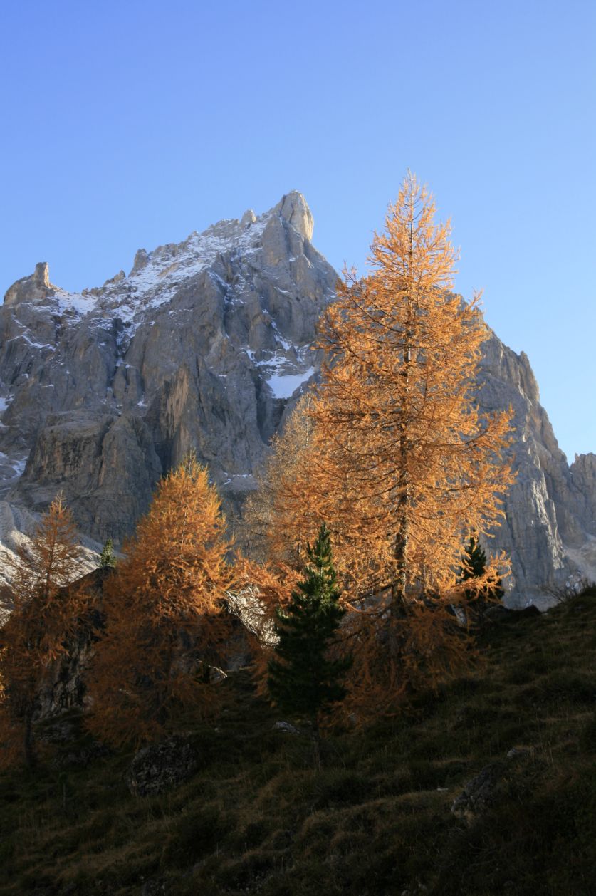 108575-castellazzo-e-val-venegia-26-ott-2013-191.jpg