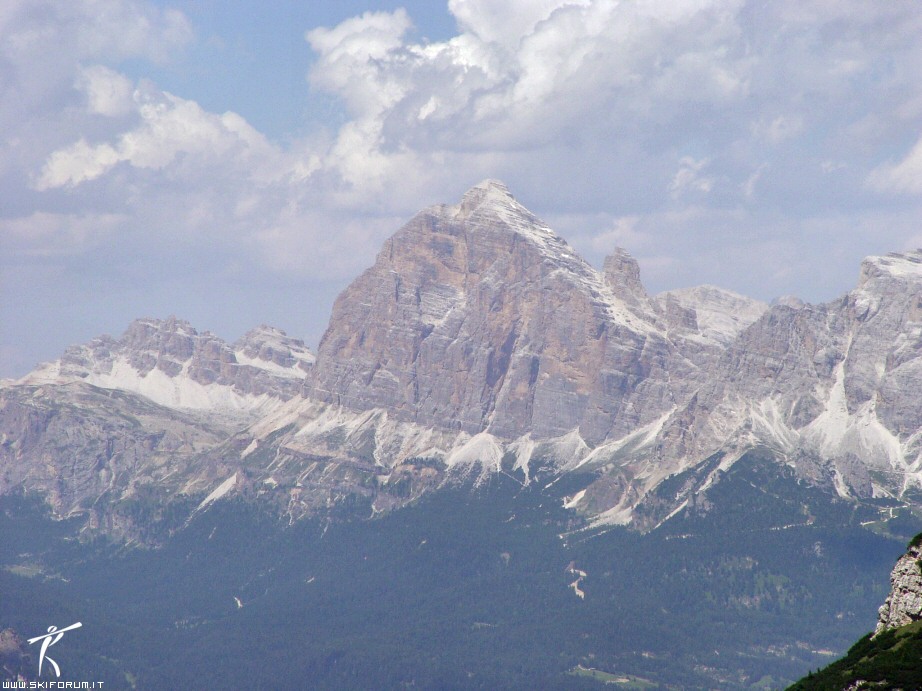 11173-tofana-rozes.jpg