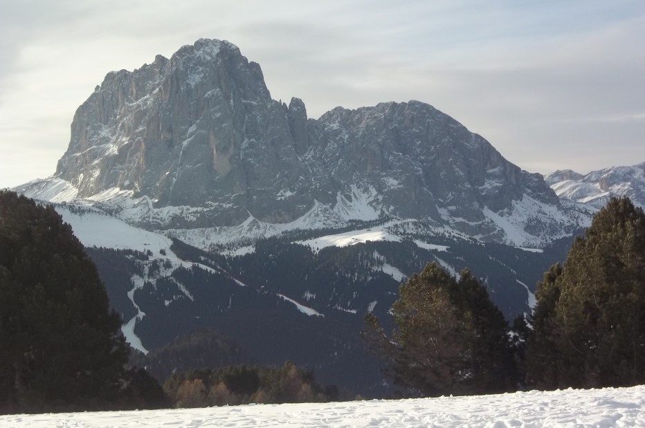113344-1002337.jpg