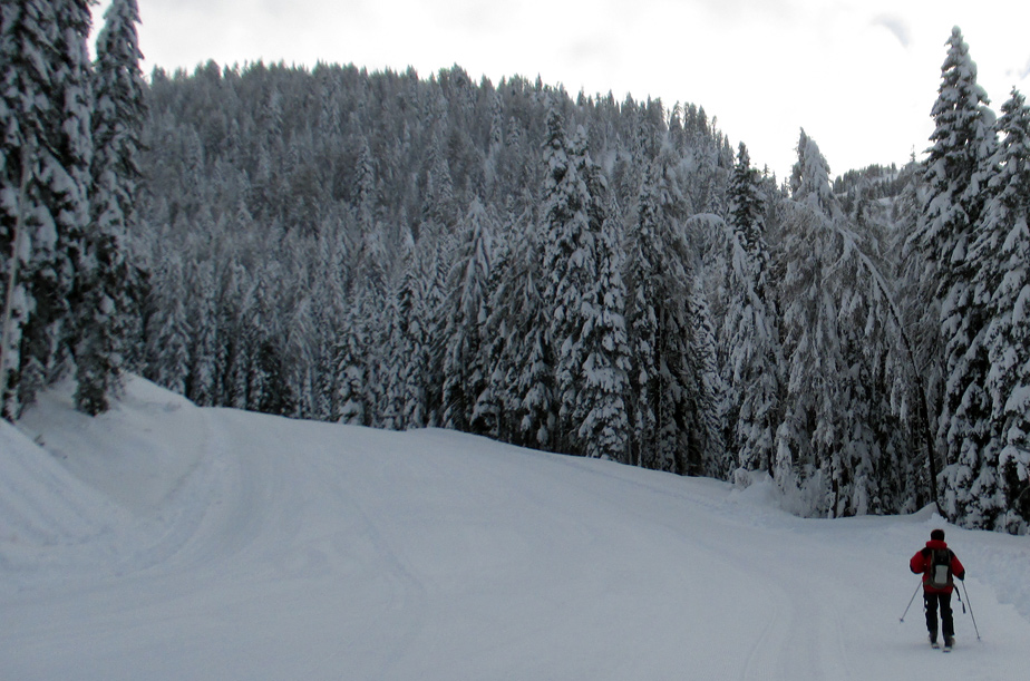113849-pista-bait.jpg
