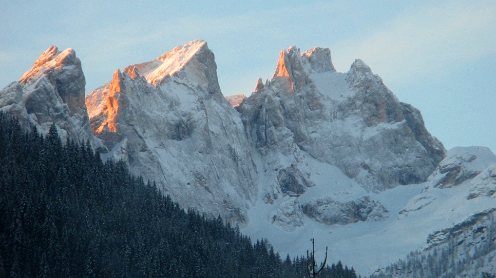 115167-focobon.jpg