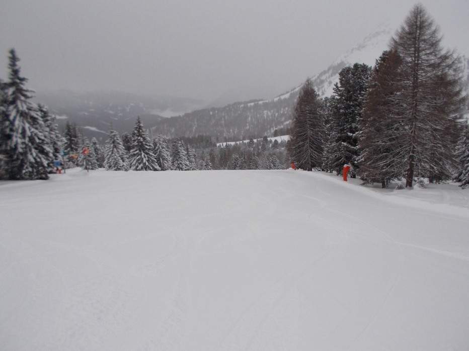 116065-image.jpg